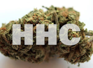 HHC Suomessa