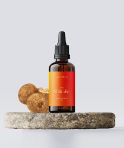 Shiitake-tinktuura ja sieni