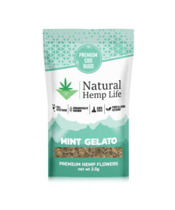 Mint Gelato - Premium CBD-kukat