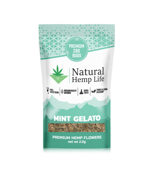 Mint Gelato Premium CBD-kukat